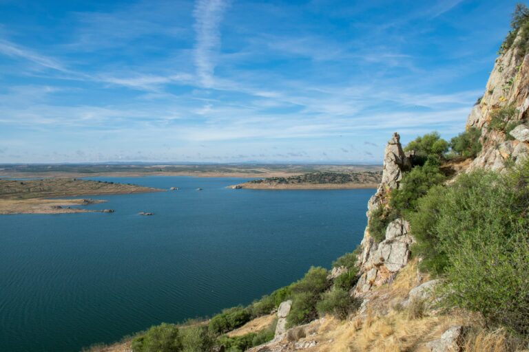 Global interest in TALENT4RURALSCIENCE: 96 researchers apply for postdoctoral fellowships in Extremadura